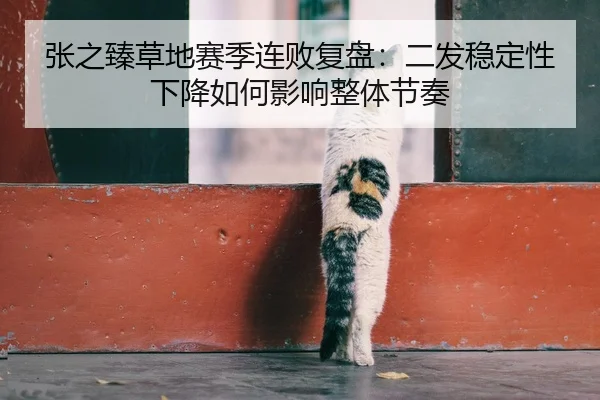 张之臻草地赛季连败复盘：二发稳定性下降如何影响整体节奏