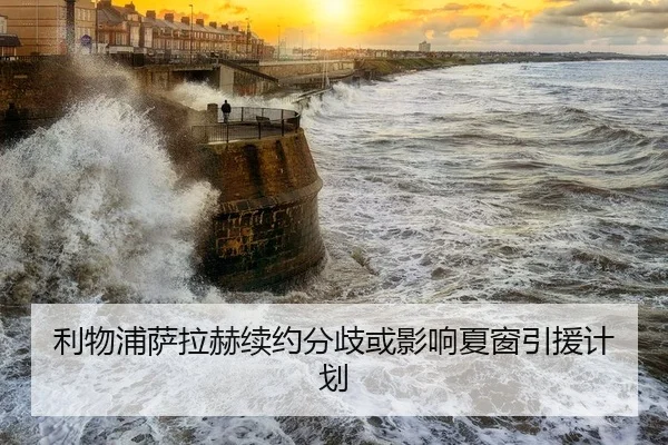 li-wu-pu-sa-la-he-xu-yue-fen-qi-huo-ying-xiang-xia-chuang-yin-yuan-ji-hua-2-865.jpg