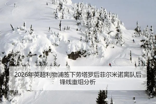 nian-ying-chao-li-wu-pu-qian-xia-lao-ta-luo-hou-fei-er-mi-nuo-li-dui-hou-feng-xian-chong-zu-fen-xi-3-999.jpg