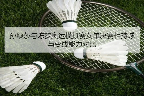 sun-ying-sha-yu-chen-meng-ao-yun-mo-ni-sai-nv-dan-jue-sai-xiang-chi-qiu-yu-bian-xian-neng-li-dui-bi-2-376.jpg