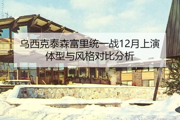 乌西克泰森富里统一战12月上演 体型与风格对比分析